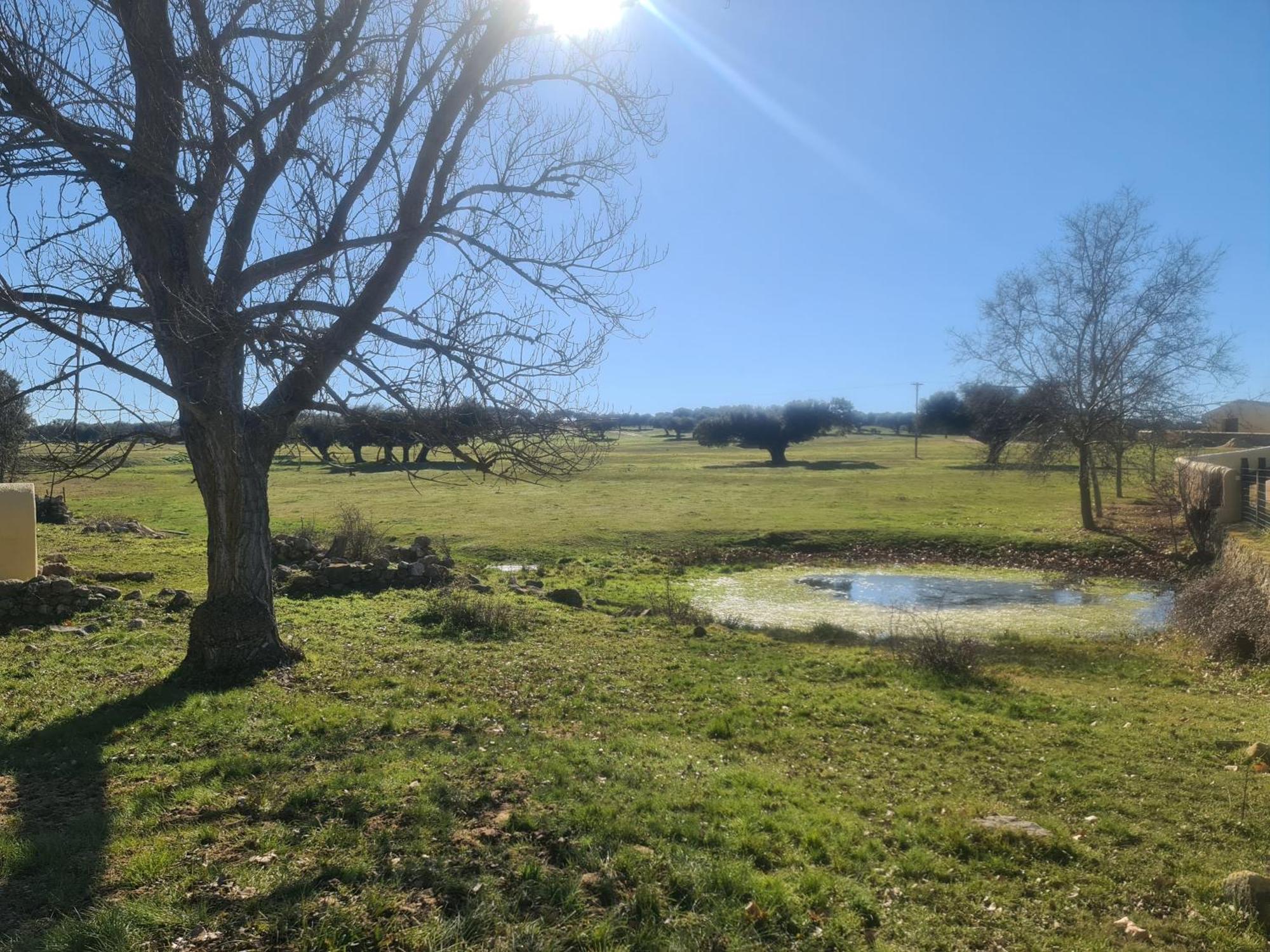 Casa Rural Palacio Conde De Aldana Con Piscina Entre Encinares Y Dehesas Terradillos Екстериор снимка